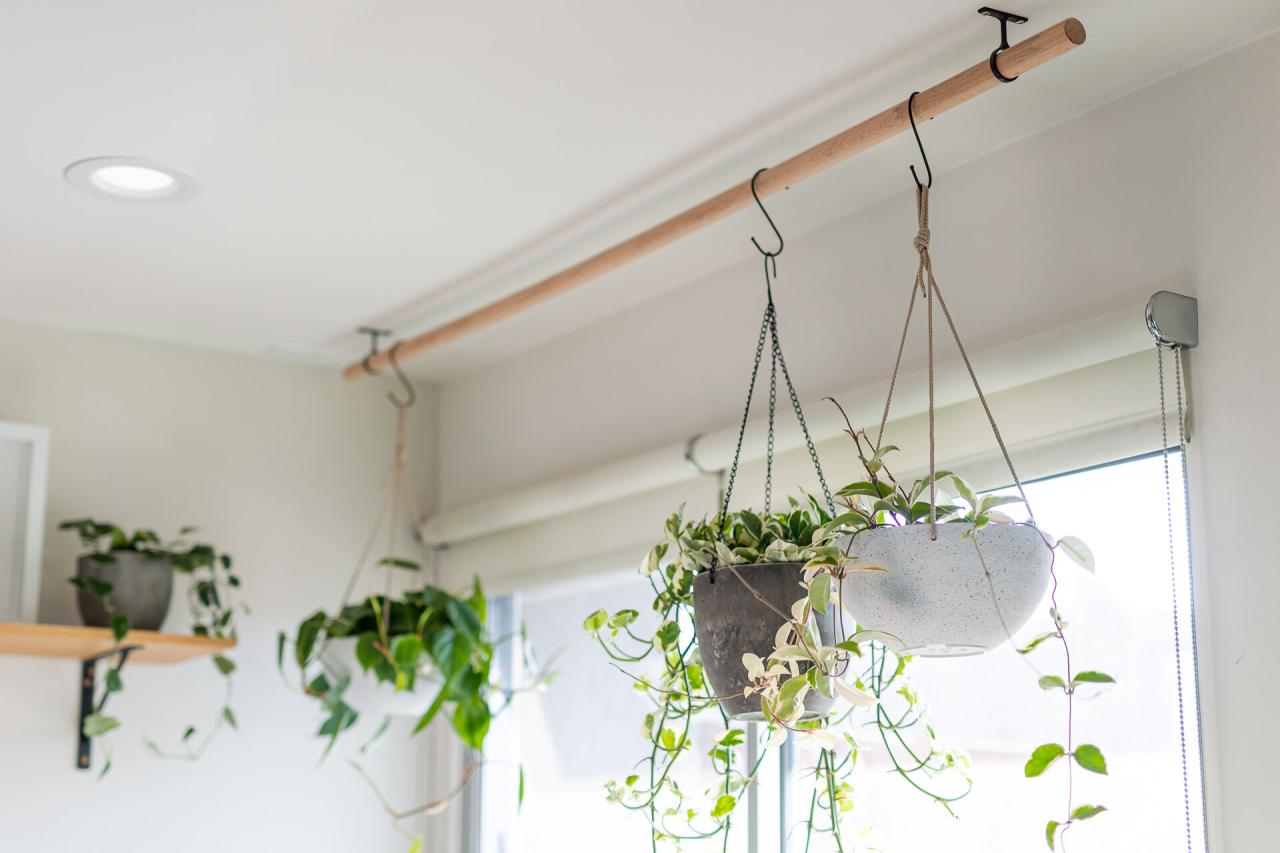 How to Create a DIY Hanging Plant Display