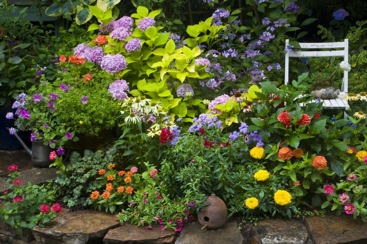 How to Design a Beautiful Garden Featuring Rodgers Plants