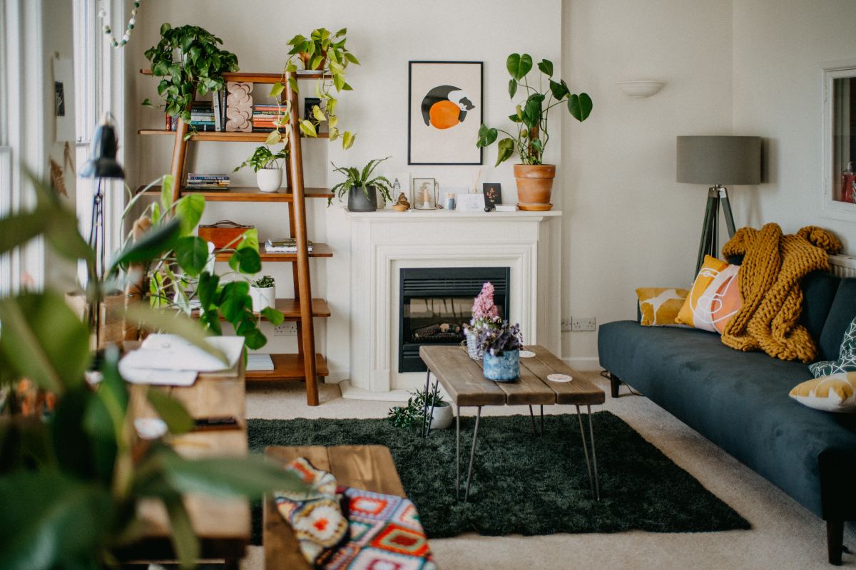 Beginner Houseplants That Are Perfect for Small Apartments