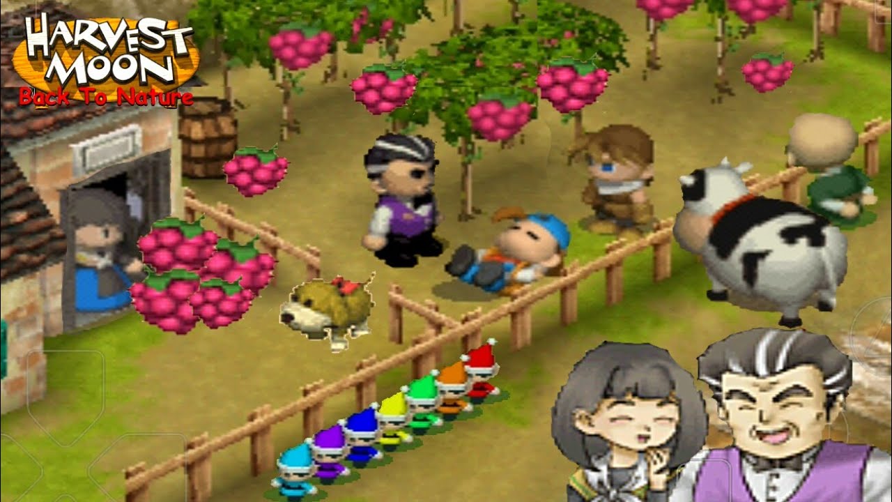 Harvest Moon Orchard: Your Complete Guide to Fall Fun