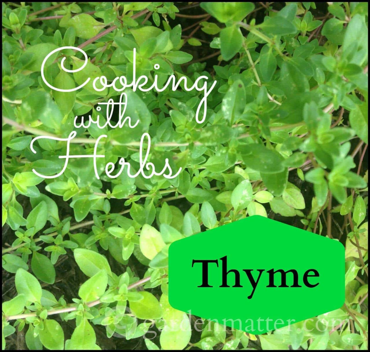 Why Thyme Piece Should Be in Every Chef’s Kitchen