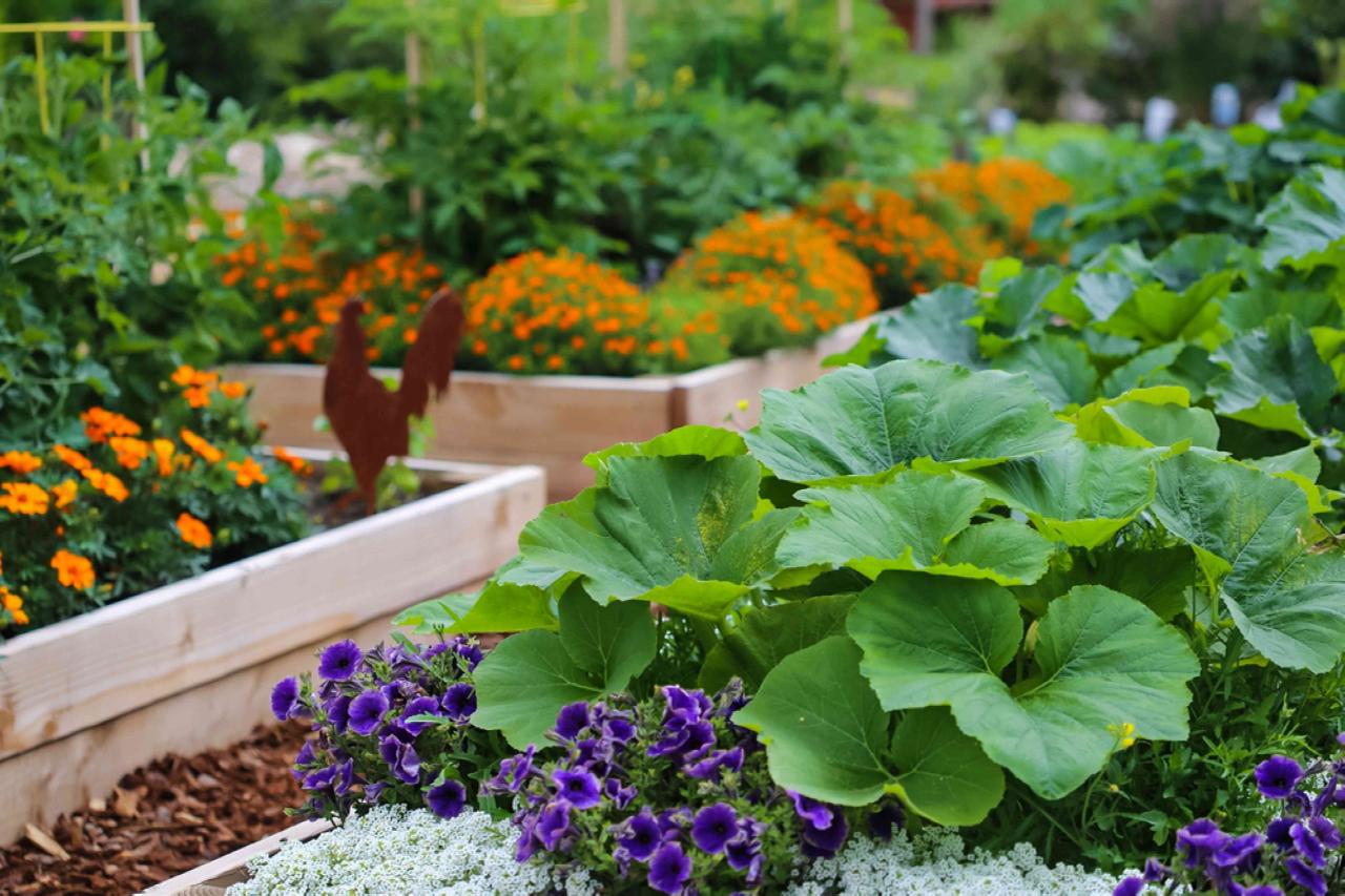 Fall Gardening For Small Spaces: What You Can Grow